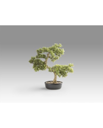 BANKAN - BONSAI 75CM